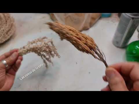 DOS MANERAS DE HACER DATILES PARA PALMERAS EN MINIATURA