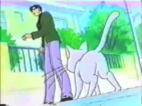 Tarkan Şımarık - Sailor Moon - AMV