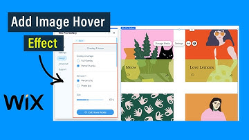 How to Add Image Hover Effect on Wix | wix hover box
