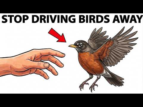 10 Everyday Things That Drive the Birds Away From Your Yard Forever (Stop Now)