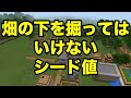 【マインクラフトPE】畑の下を掘ってはいけない村（シード値紹介）