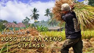 STORY WA 🔥 AKU TENANG - HAPPY ASMARA