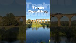 Train enthusiasts will love this | Hidden viaduct