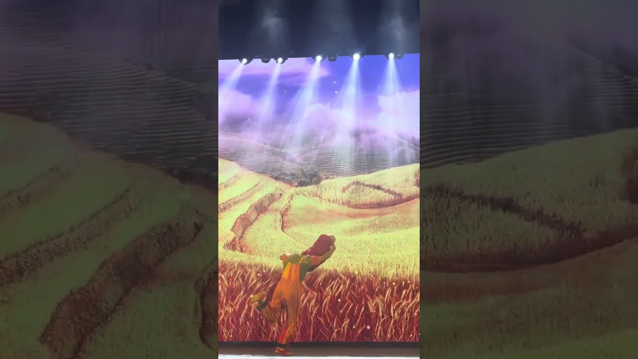 Chaoyang Theatre Acrobatic Show