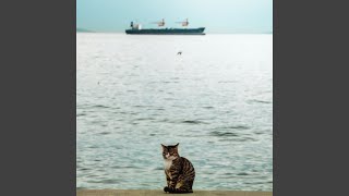 Oceanic Cat Dreams Beachside Serenades