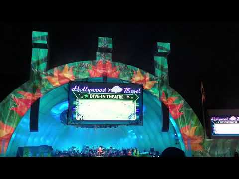 綿引さやか／恋してる リトルマーメイド(she's in love)Hollywood bowl リトルマーメイドinコンサート