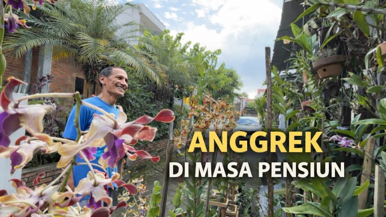Cerita Pak Jonet Merawat Anggrek di Teras Rumah,Setelah Pensiun dari BRI