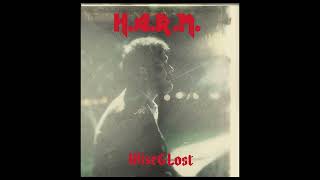 H.A.R.M. - What is it for