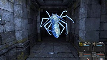 Legend of Grimrock - Hard Difficulty - 1st playthrough - Part 12