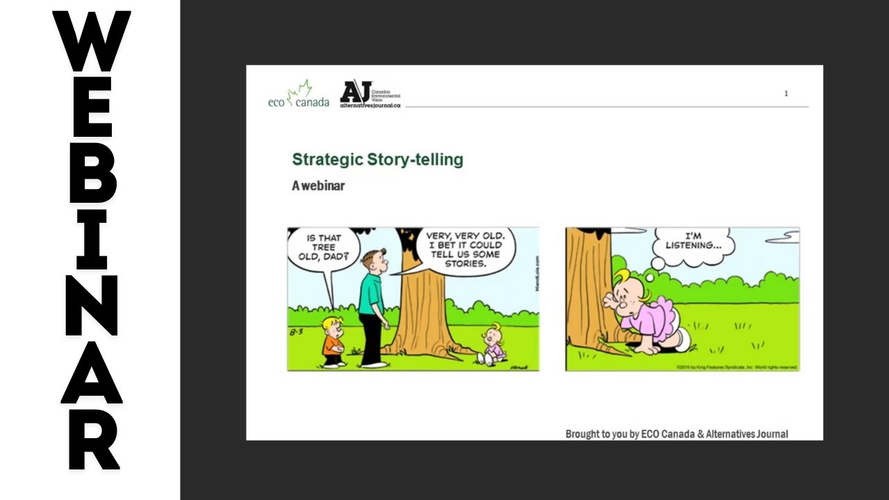 Strategic Storytelling for Environmental Professionals