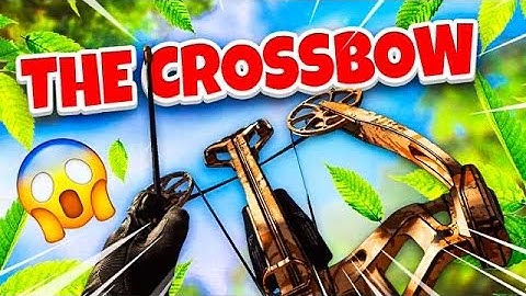 The NEW CROSSBOW in Modern Warfare... (Best Crossbow Class Setup)