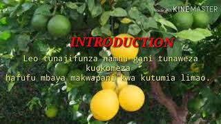 MAAJABU YA LIMAO MWILINI MWAKO