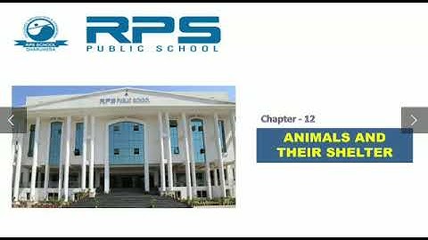 Class 3 ।। EVS ।। Chapter-  12 Animals and their shelter  ।। CBSE ।। RPS