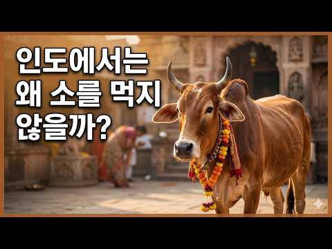 인도에서는 왜 소를 먹지 않을까?