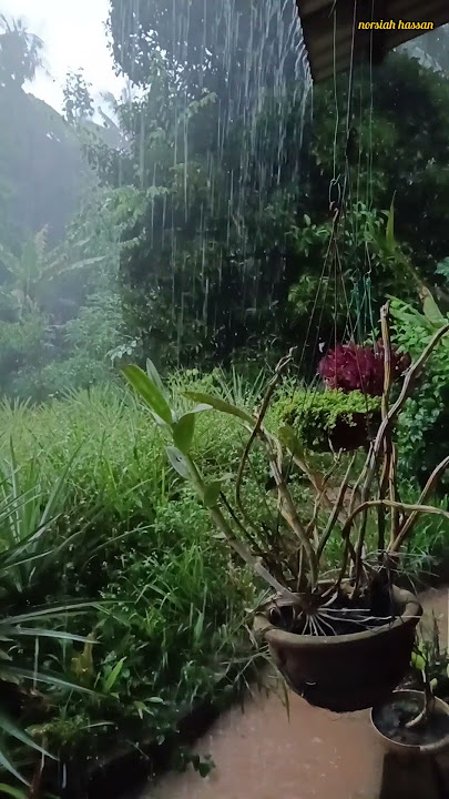 Suasana hujan di desa@norsiahhassan5758 #hujanderas #rain #shortfeed #short#shortvideo