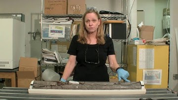 The SAFOD Core in the Lab