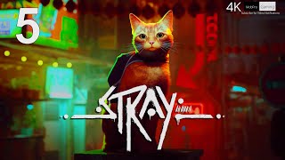 STRAY (ENDING) - 4K HDR 60fps Gameplay Walkthrough High Graphics No Commentary - Games for (PS5,PC)