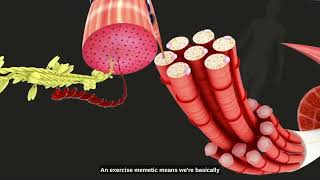 The Benefits Behind Mots-C Peptides