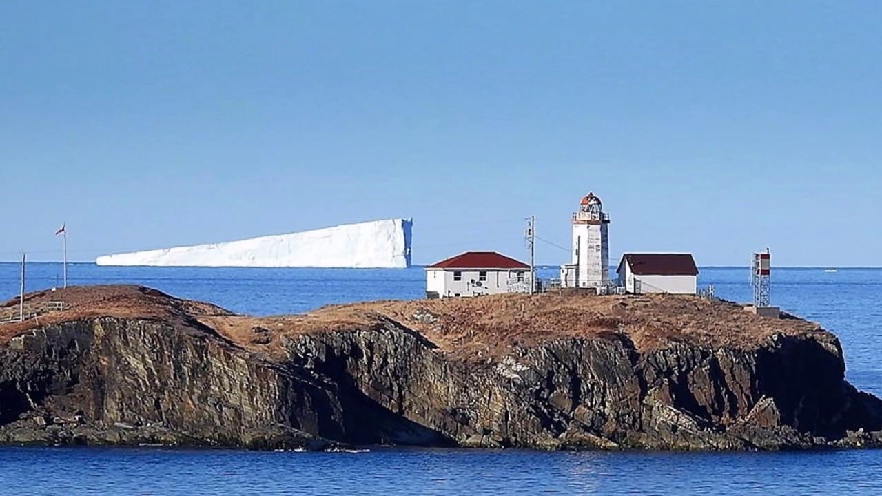 Newfoundland Iceberg Tours: Icebergs of Trinity Bay 2016
