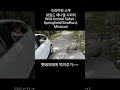 멧돼지에게 먹이주기~~  #animals