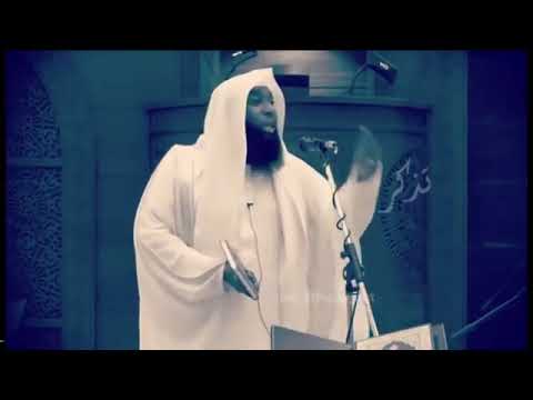 بدر المشاري التافه من الناس يتكلم في أمر العامه