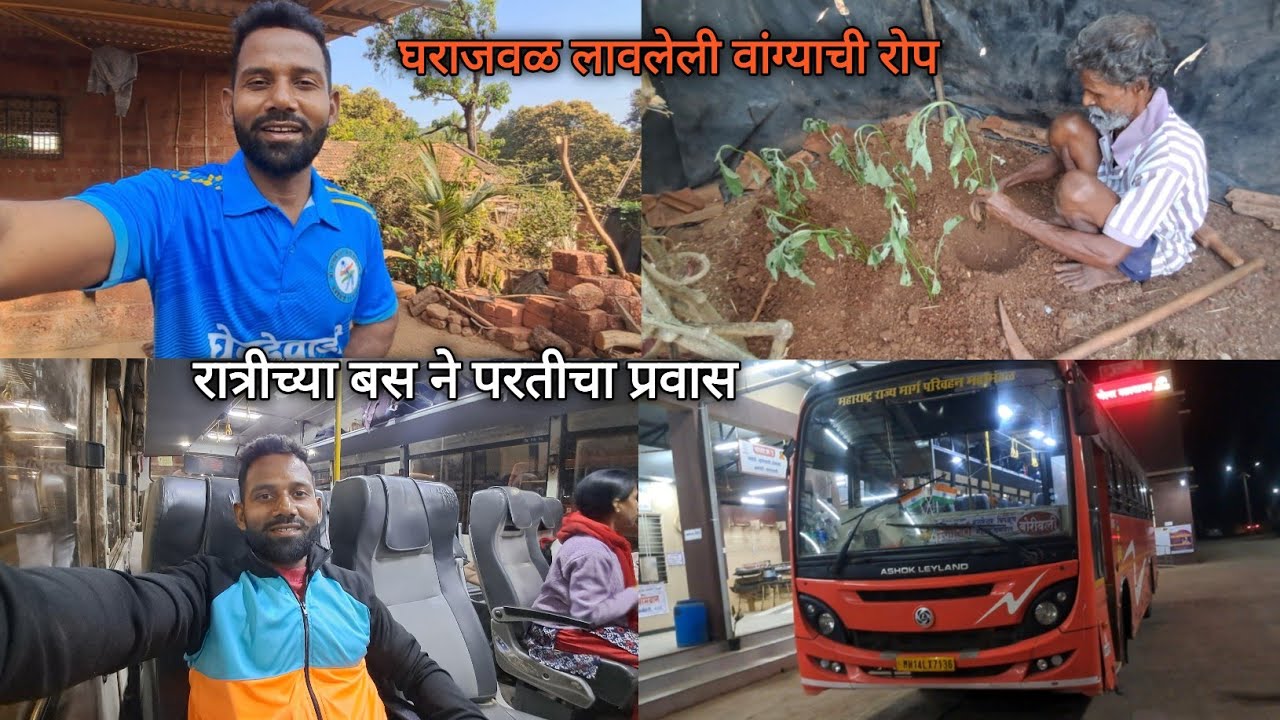 रात्रीच्या बसने केला परतीचा प्रवास l घराजवळ लावलेली वांग्याची रोप l रत्नागिरी - बोरीवली बसचा प्रवास