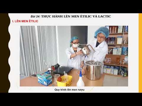 Video: Chất phản ứng của quá trình lên men axit lactic là gì?