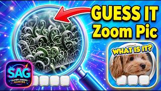 GUESS IT Zoom Pic Trivia Quiz level 27 all answers screenshot 3
