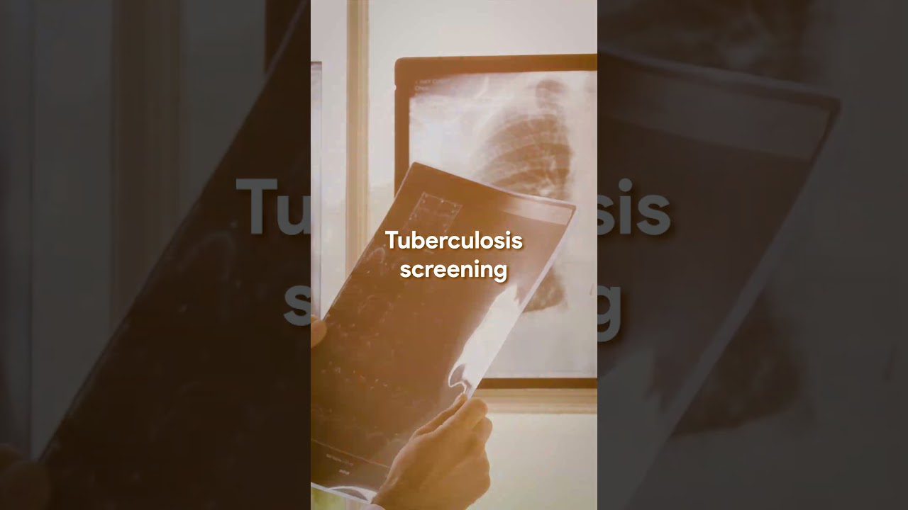 Best Study Abroad Consultants in Hyderabad – Free Visa Guidance!