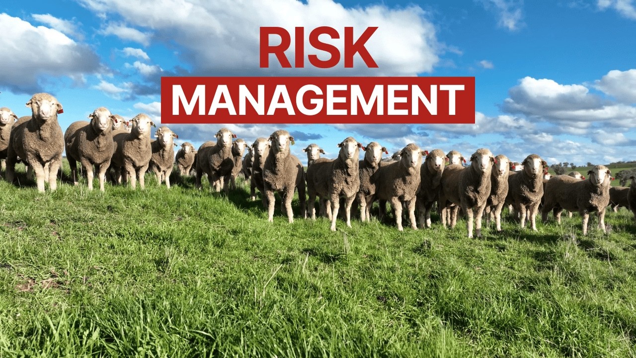 Risk Management - With Mark Ferguson from neXtgen Agri