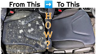 How to Clean Mold/Fungus from Car Interior. Feat. Wow My Car