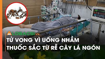Tử vong vì uống nhầm thuốc sắc từ rễ cây lá ngón