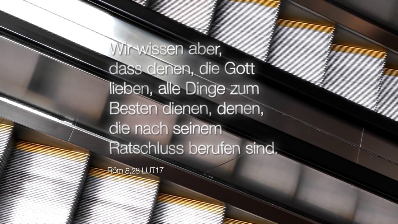 Bibelwort Römer 8,28