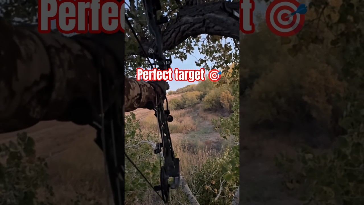 One of the Craziest Deer Hunting Clips You’ll See! 🦌💯 