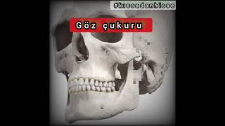 Insanın Gözünü Bir Avuç Toprak Doyurur Dedikleri Hikaye Olsa Gerek Resimi