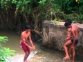 ape kollo