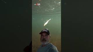 Fluke Fishing With Exposed Hook?