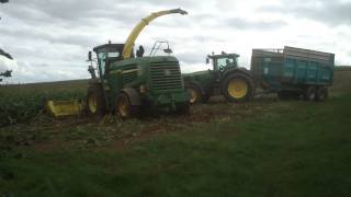 Maize 2013