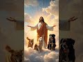#Jesus #God #Faith #Hope #Christian #Shorts #USA #Motivation