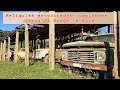Relíquias encontradas: caminhões raros da Dodge e Ford. Achados incríveis!