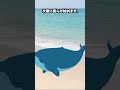 海辺で死んだクジラを見たら、絶対に近づいてはいけません...#Shorts