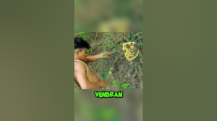 ASÍ se RECOGE MIEL de MANERA PRIMITIVA 🍯🐝