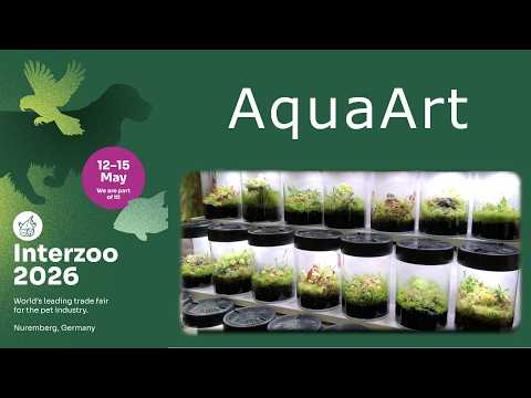 Interzoo 2026 - AquaArt (new plant species, CO2 system, MiniTerrarium) [PL/ENG]