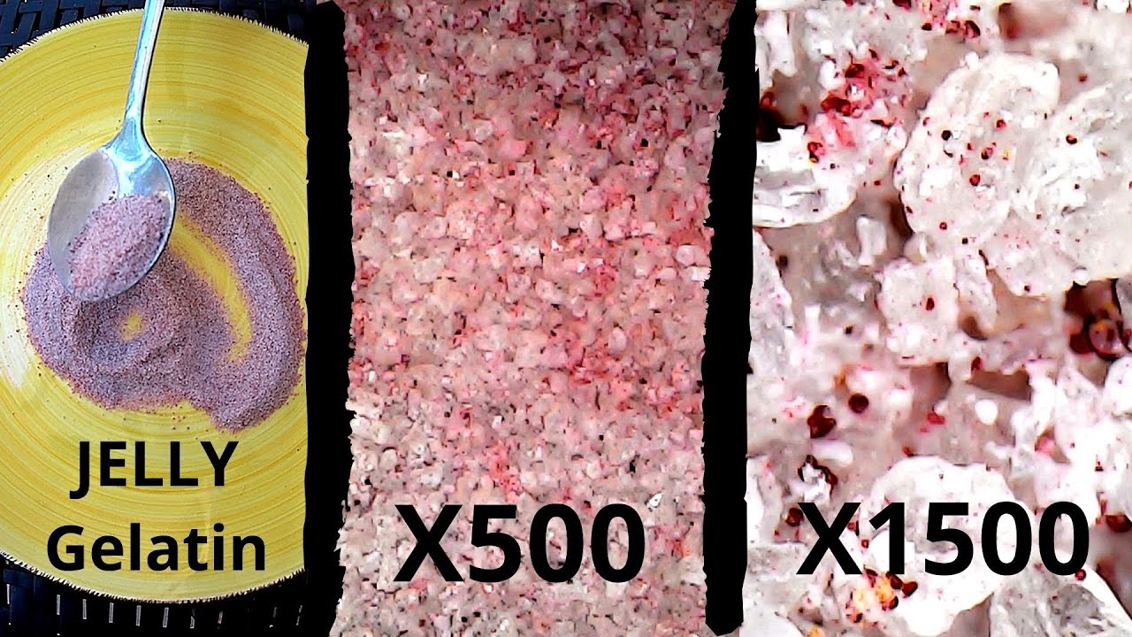 How it looks Jelly Gelatin at Amazing x500 x1500 Zoom 4K Under the