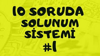 10 Soruda Solunum Si̇stemi̇ 1 Kesinlikle Öğreneceksin- Öğrenmezsen Abone Olma