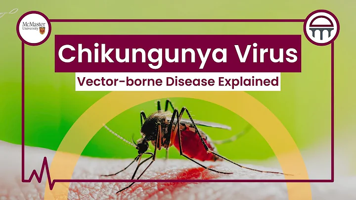 Chikungunya Virus: A Vector-borne Disease Explained