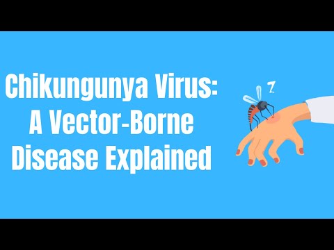 Video: Lokal Og Regional Dynamik Ved Transmission Af Chikungunya-virus I Colombia: Rollen Som Uoverensstemmende Rumlig Heterogenitet