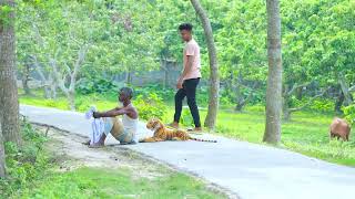 Fake Tiger Prank | Fake Tiger vs Man Prank on Public (Part 20) | 4 Minute Fun