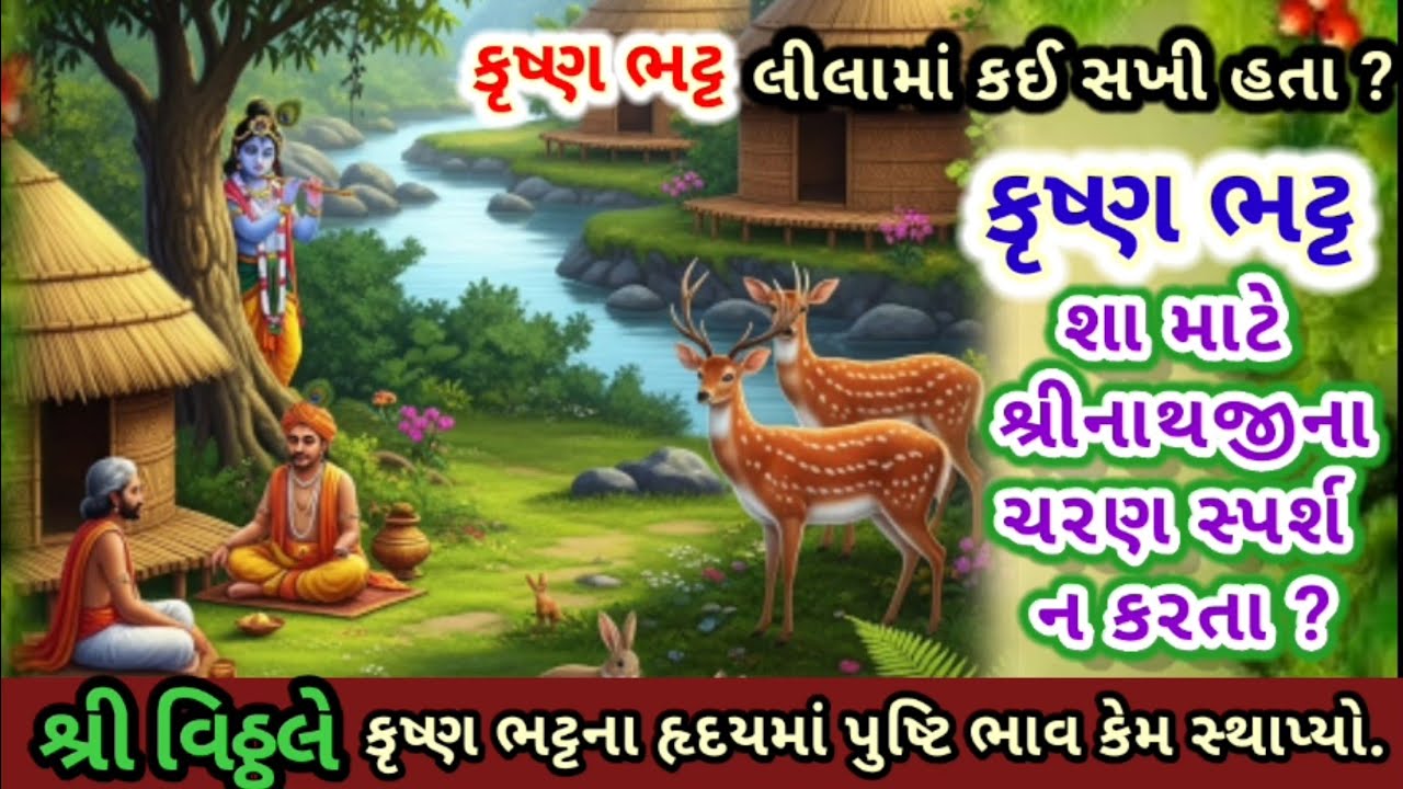 🔥કૃષ્ણભટ્ટ શ્રીનાથજીના ચરણસ્પર્શ શા માટે ન કરતા | pushtimarg vachanamrut video | pushtimarg podcast