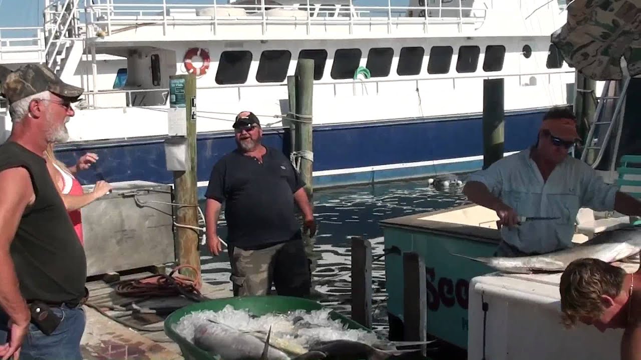 Deep Sea Fishing in Daytona 2010